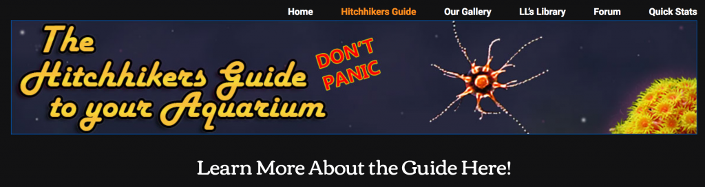 The Hitchhikers Guide to your Acquarium, Guida agli organismi spomntanei