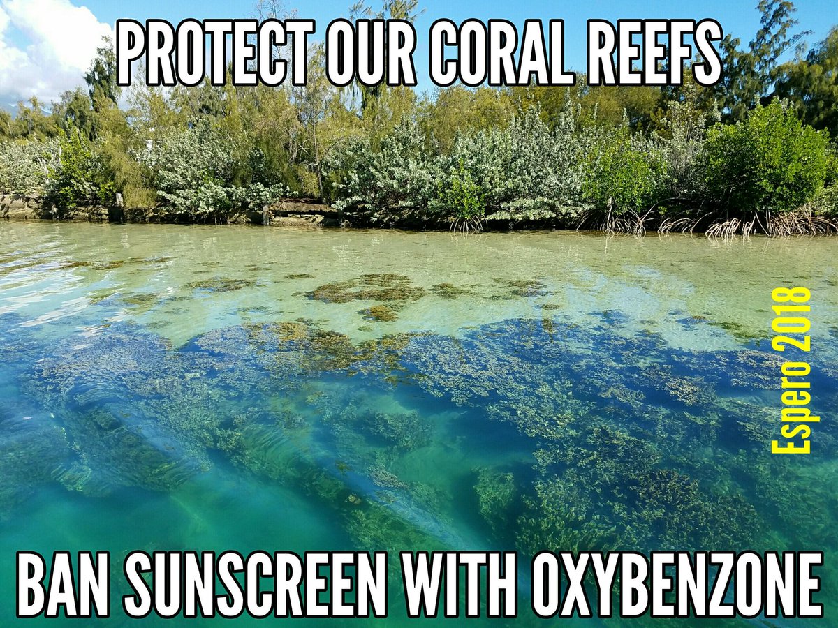 divieto uso creme solari dannose per la barriera corallina