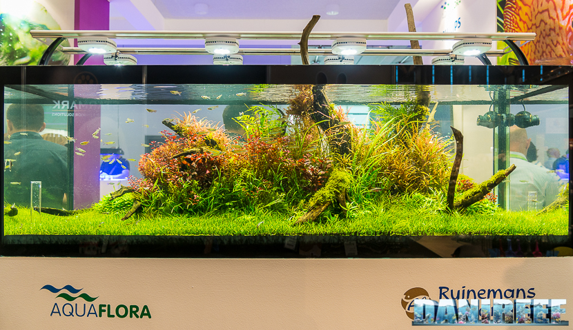 Interzoo 2018: the Aquascaping made by Filipe Oliveira at AquaFlora booth