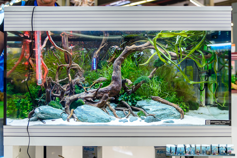 Interzoo 2018: l'acquario Pure XL HC LED presso lo stand Askoll