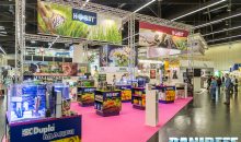 Interzoo 2018: the Dohse booth shows off a Dupla in great shape