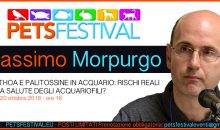 Massimo Morpurgo parla della pericolosa Palitossina, non perdetelo al PetsFestival