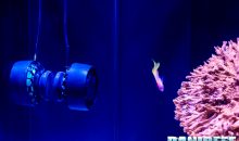 AquaIllumination Nero 5 – la pompa di movimento vista al Macna con video