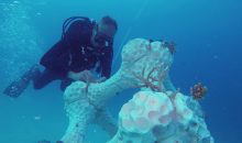 Barriere coralline artificiali stampate in 3D vengono posate sul fondo del mare