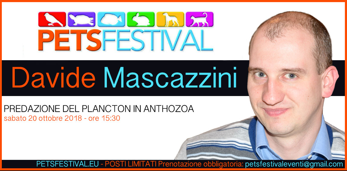 Davide Mascazzini: Predazione plancton in Anthozoa
