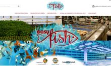 Easy Fish è il nuovo negozio di vendita online di pesci e coralli, dolce e marino, dell’amico Luca Girlando