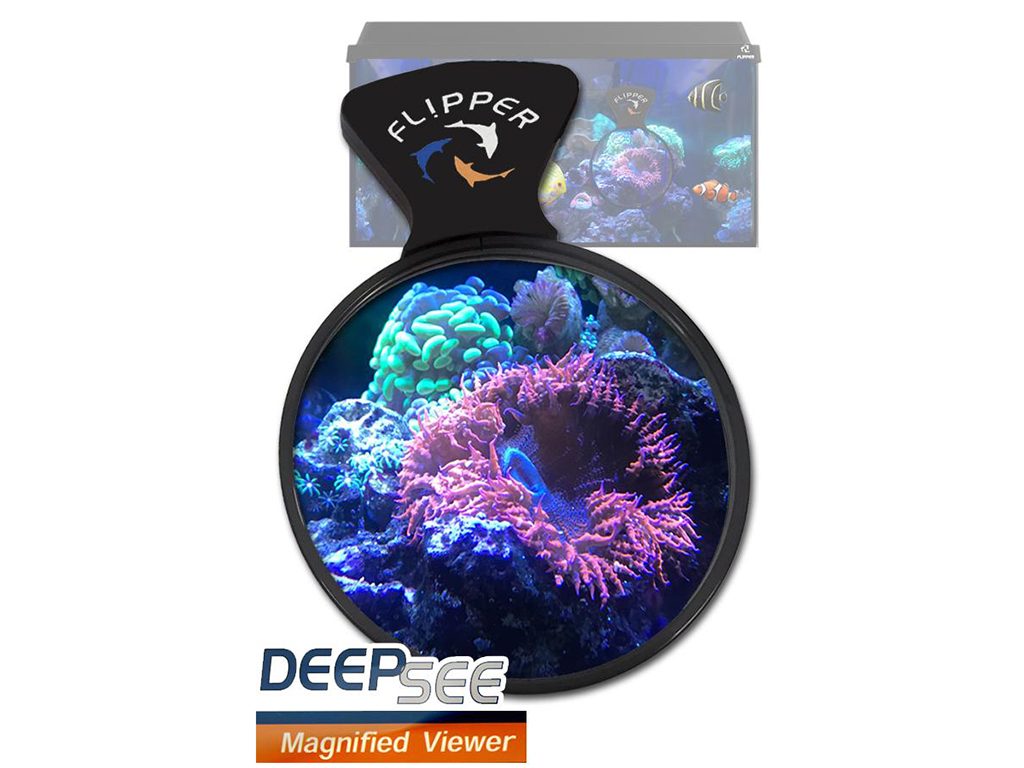 DeepSee Magnified Viewer - lente di ingrandimento per coralli