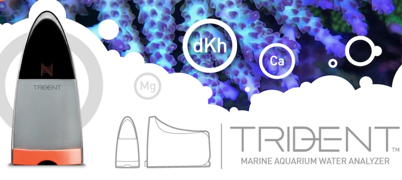 Neptune Trident sistema di monitoraggio automatico di calcio magnesio e kh