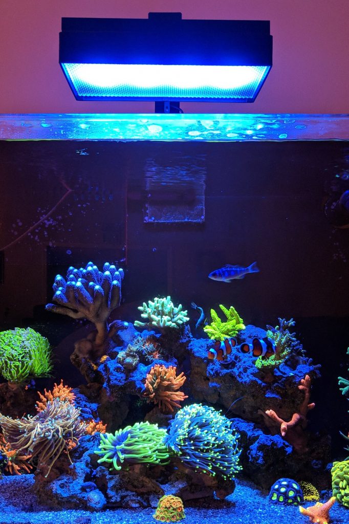 Diffusore 3D Reefing's per plafoniere Aqua Illumination su minireef