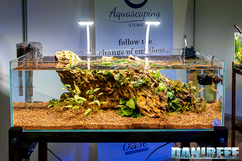 Aquascaping store propone le nuove lampade Desac ed un interessante filtro ad alghe