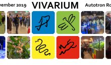 Vivarium 2019 a Rosmalen la fiera dedicata all’acquario: scopriamone di più