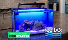 TheReefbox™ un nuovo acquario All-in-One con sfondo retroilluminato