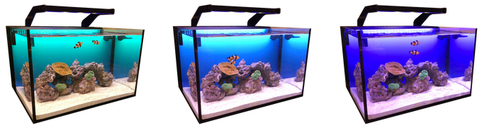 TheReefbox™ un nuovo acquario All-in-One con sfondo retroilluminato