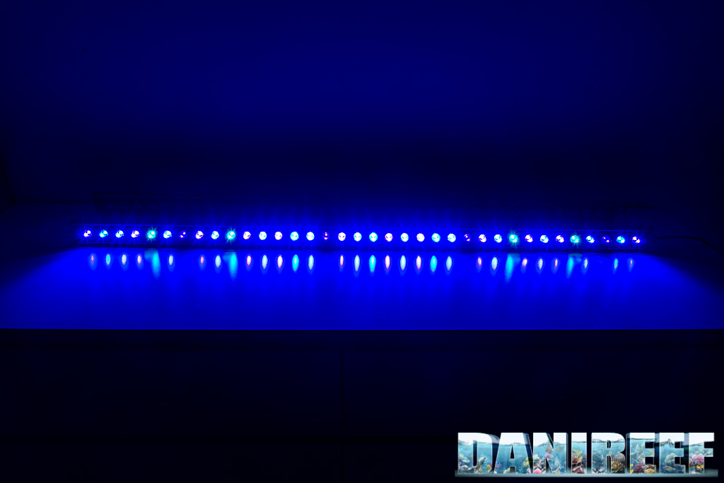 Le barre a LED Orphek OR2 Blue Plus testate a fondo nel DaniReef LAB