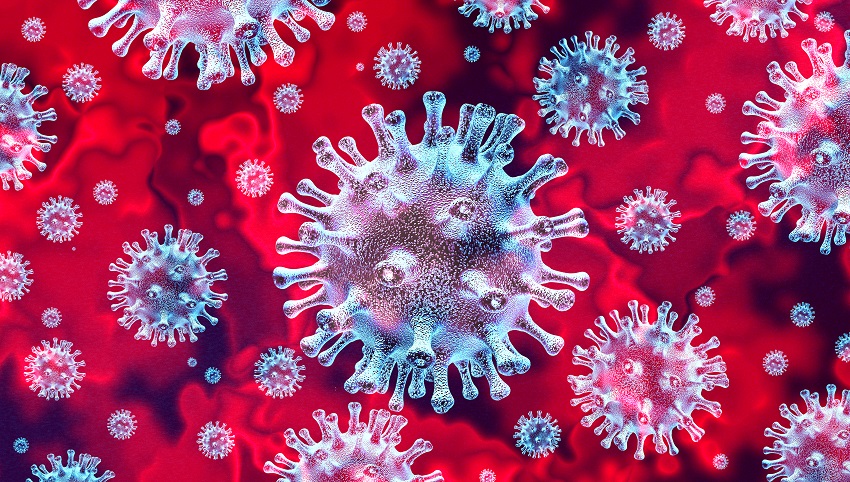 Coronavirus e acquari: quali conseguenze per il nostro hobby?