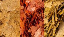 I nuovi mangimi Amtra della serie PRO: Natural, Color e Vegetal Flake
