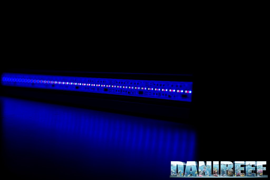 Le barre a LED Oase Highline Premium LED 65 testate nel DaniReef LAB