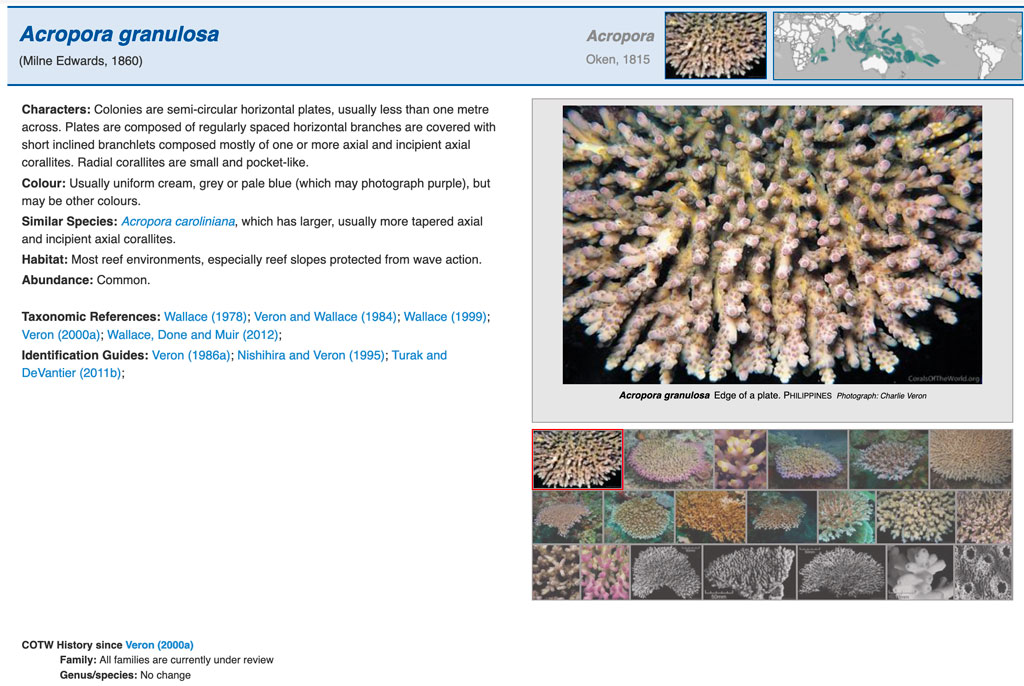Corals of the world di Veron finalmente disponibile gratuitamente ed aggiornato - scheda acropora granulosa