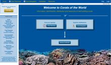 Corals of the world di Veron finalmente disponibile gratuitamente ed aggiornato