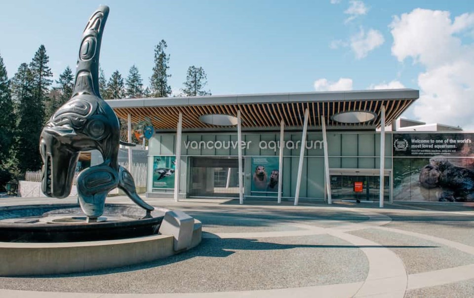 Effetti della pandemia: il Vancouver Aquarium chiude le porte al pubblico