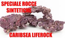 CaribSea LifeRock: continua lo speciale sulle rocce sintetiche con il cap.2