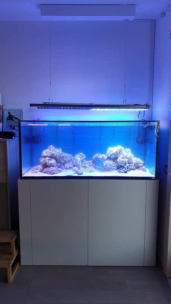 Automatizzare l'acquario con un sistema ultraprofessionale