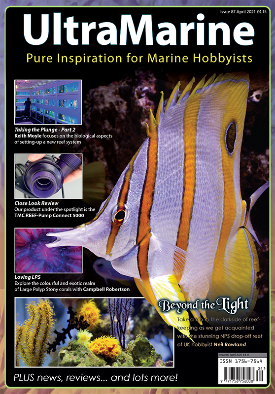 UltraMarine Magazine 87 dedicato al Chelmon rostratus è disponibile oggi