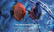 The Aquascaping Solution: da Aquaristica una gamma completa di prodotti