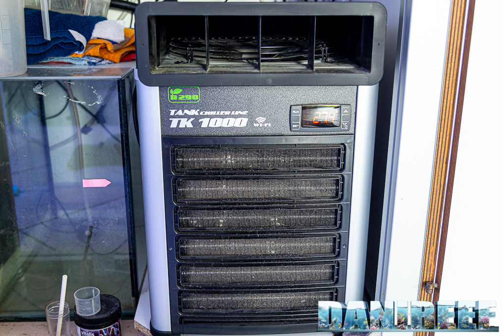 Refrigeratore Teco TK 1000 con gas r290: Il re è tornato - Recensione