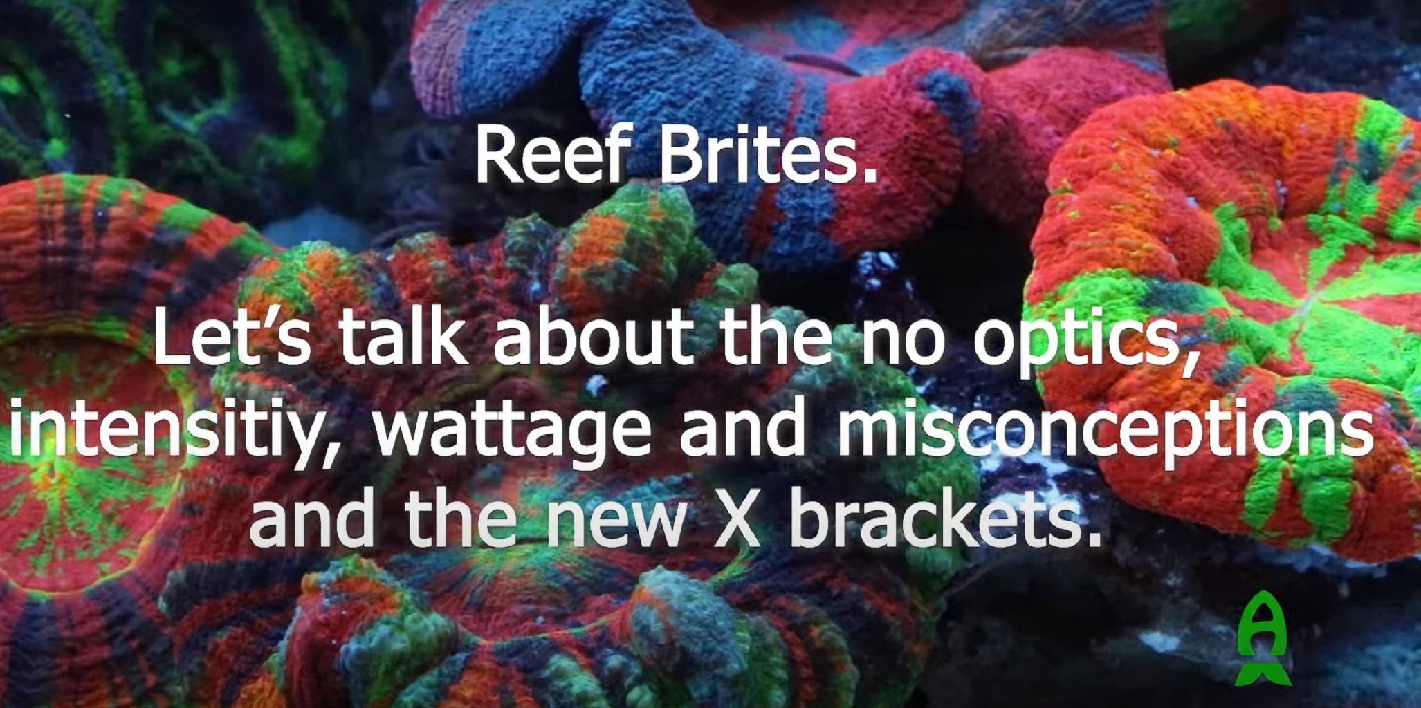 Tullio Dellaquila di ReefBrite ci racconta l'illuminazione in acquario