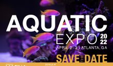 Aquatic Expo 2022: quando il Macna diventa anche di acqua dolce