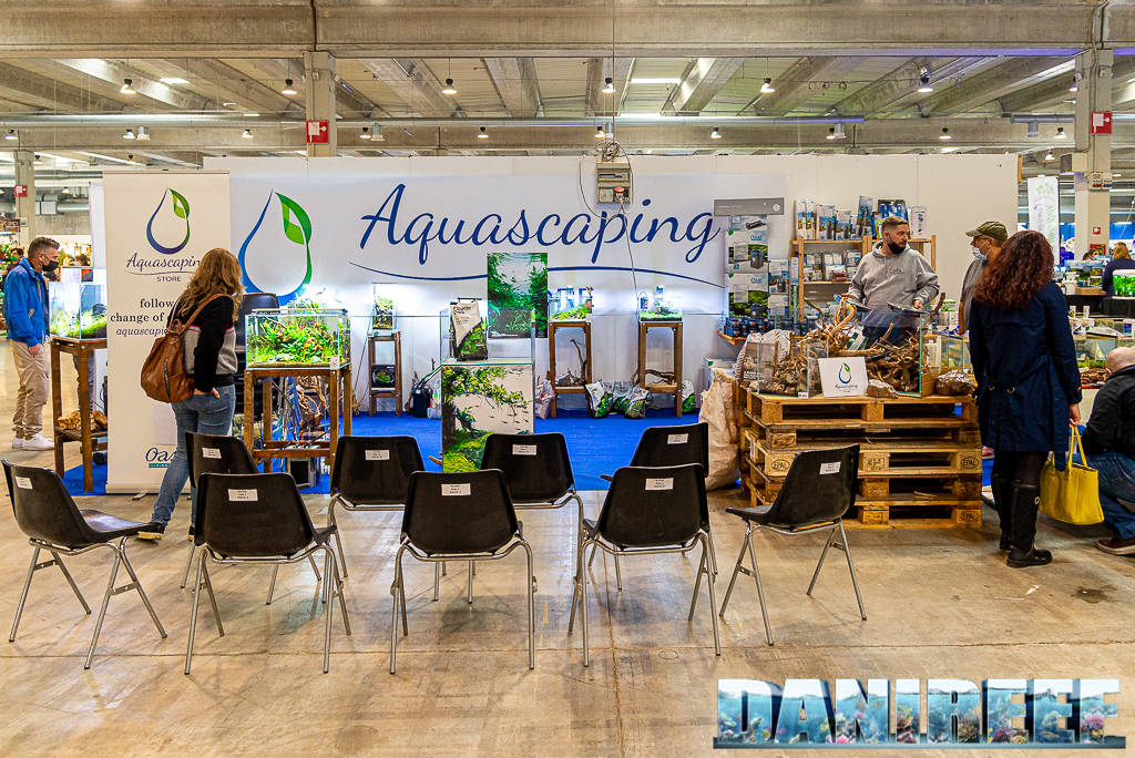 8 bellissimi acquari allestiti da Aquascaping Store al PetsFestival 2021