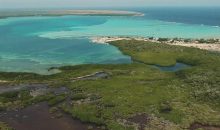 L’ambiziosa sfida per la ricostruzione del reef a Bonaire Island nei Caraibi Olandesi