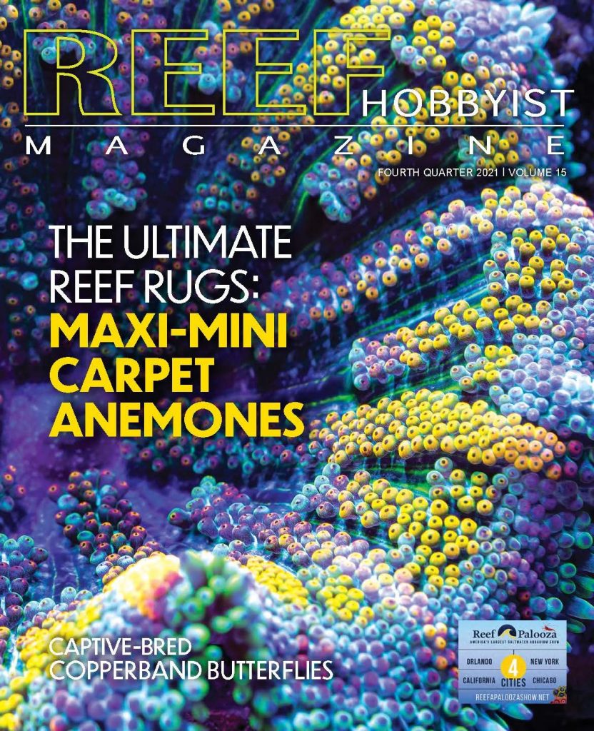 Reef Hobbyist Magazine quarto trimestre 2021 - disponibile gratis