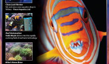 UltraMarine Magazine 89 è dedicato al labride Choerodon fasciatus