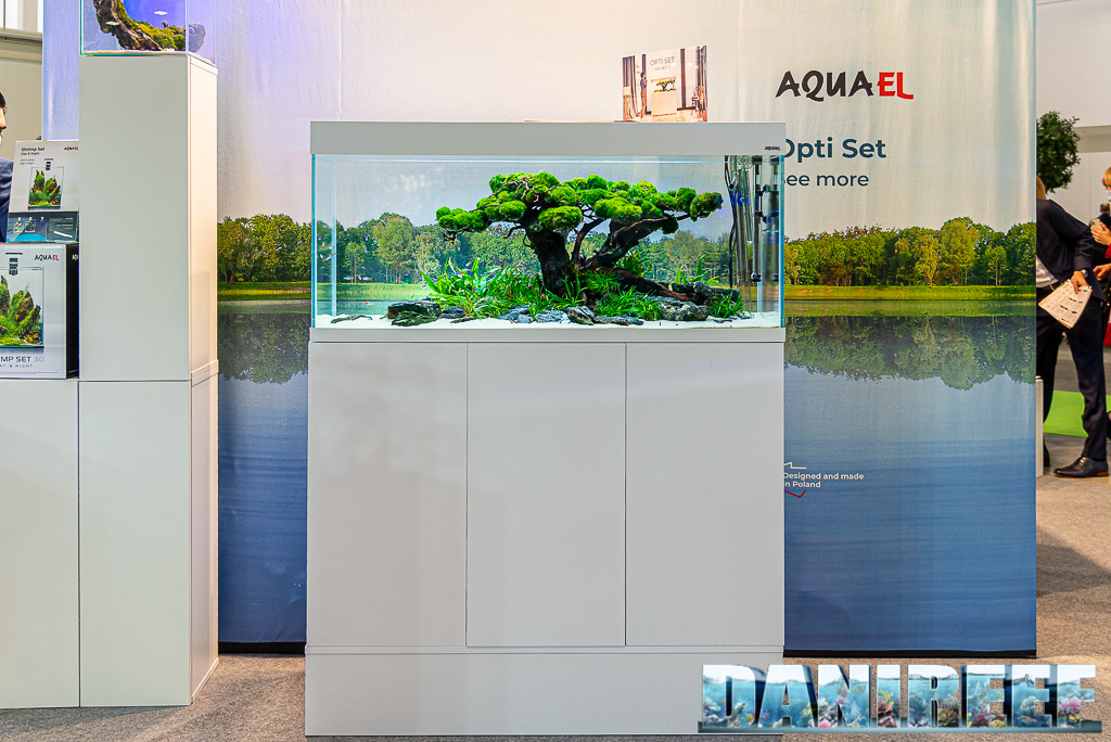 Acquascape straordinari nello stand AquaEl a Zoomark 2021 - acquario Opti Set con Aquascape simile ad un albero - vista d'insieme