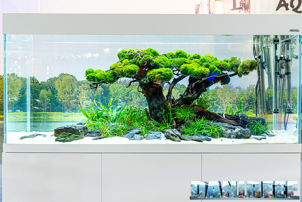 Acquascape straordinari nello stand AquaEl a Zoomark 2021 - acquario Opti Set con Aquascape simile ad un albero