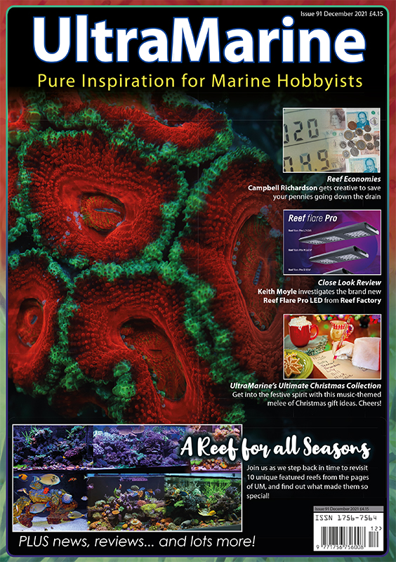 UltraMarine Magazine 91 è dedicato alle Acanthastree, oggi micromusse