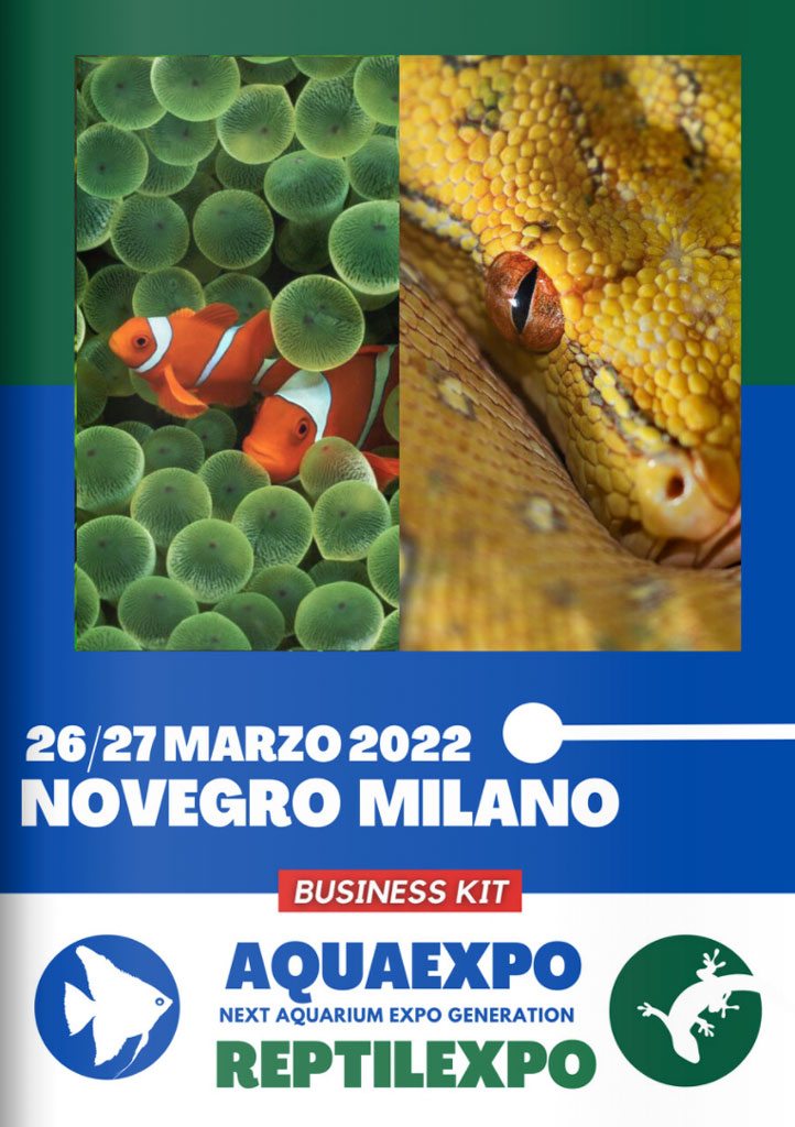 AquaExpo: la nuova fiera social per gli acquari a marzo a Novegro Milano