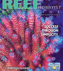 Reef Hobbyist Magazine primo trimestre 2022 – disponibile gratis