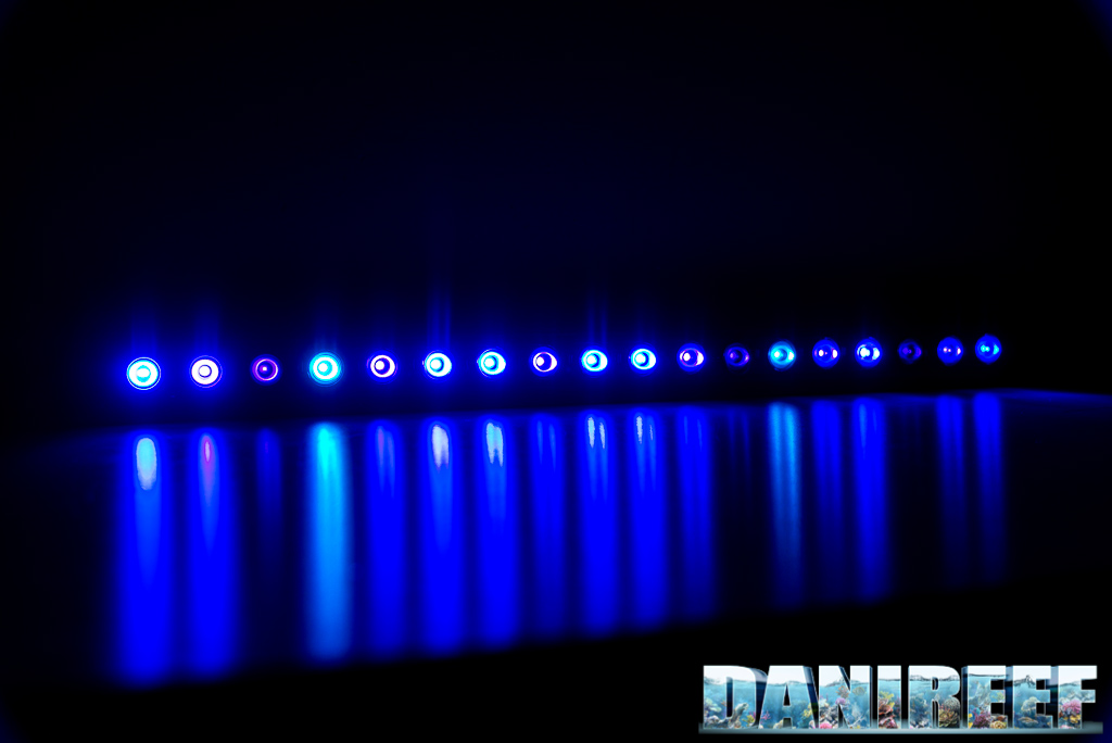 The new LED Reef Flare Bar Blue S in our DaniReef LAB - our review