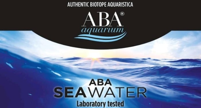 ABA Seawater: acqua in scatola preparata da acqua marina