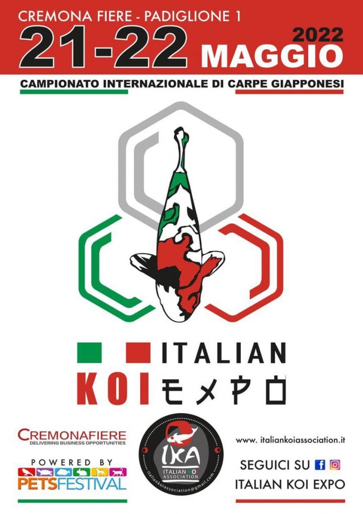 Italian Koi Expo 2022: campionato internazionale di carpe giapponesi questo fine settimana