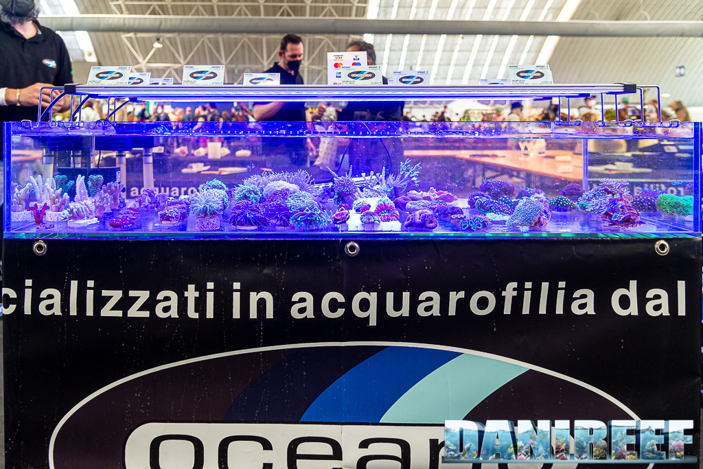 Oceano Varese in mostra ad AquaExpo con i suoi coralli