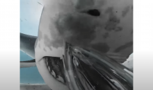 Uno squalo mangia una videocamera e poi la sputa… il video integrale