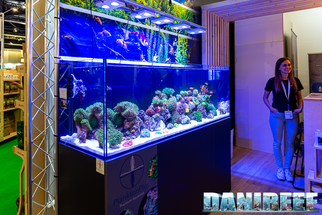 The amazing aquarium at the booth of Silbermann Aquaristik and PlanktonPlus