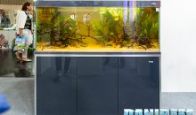 The brand new aquariums and many other news at Amtra – Nuremberg Interzoo 2022