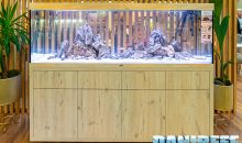 A lot of aquariums at the booth of Aquatlantis at the Interzoo 2022