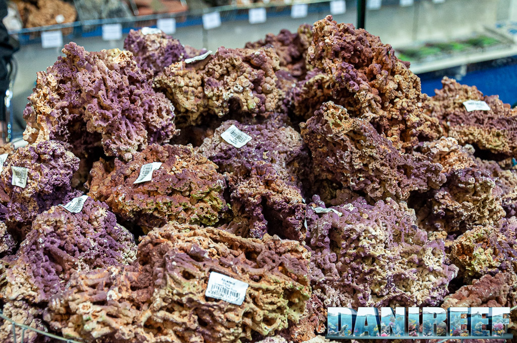 Jurassic Rocks, identifiable through their colouring similar to coralline algae