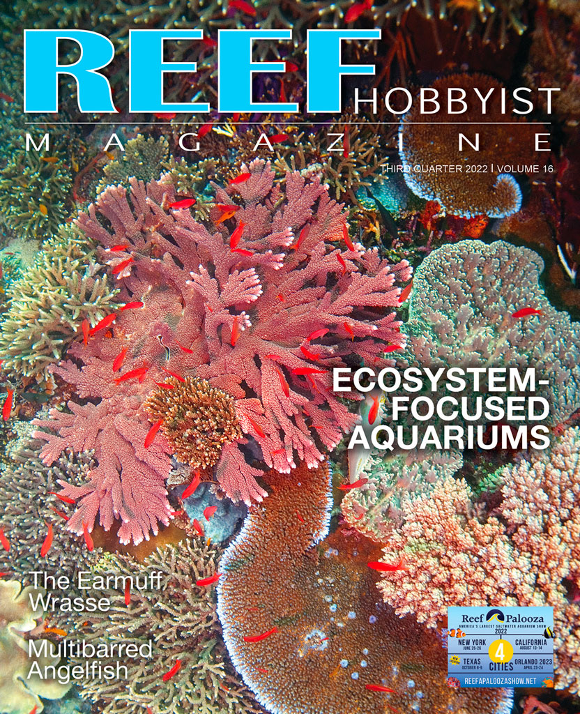 Reef Hobbyist Magazine terzo trimestre 2022 - disponibile gratis
